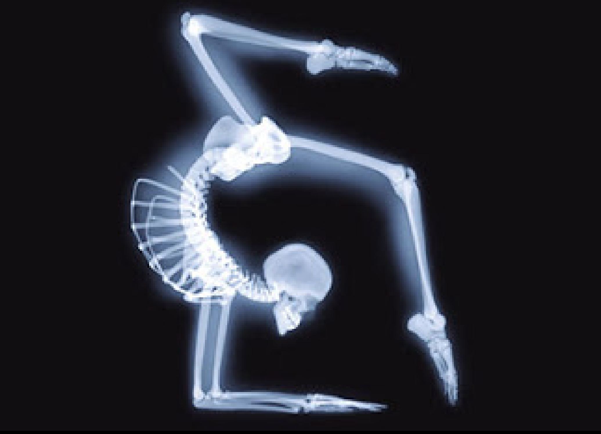Imagerie du sport 2